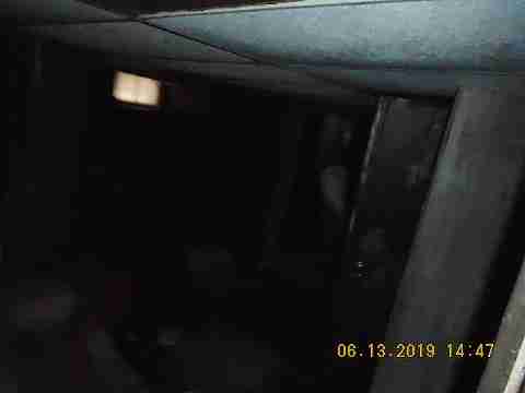 8266 Badger (32)_m.jpg